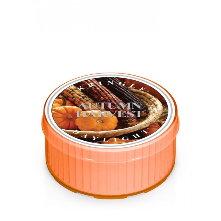 Daylight Autumn Harvest Kringle Kerze