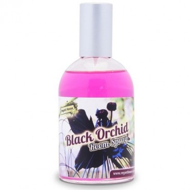 Interieur Parfüm Schwarze Orchidee
