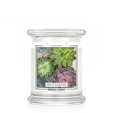 Średnia świeca Succulents Kringle Candle