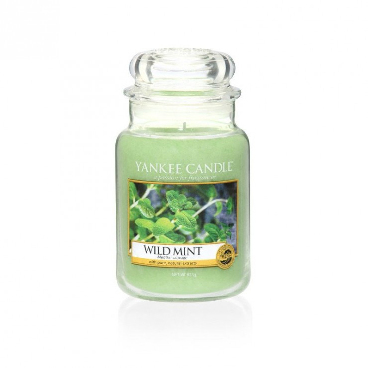 Große Wild Mint Yankee Kerze
