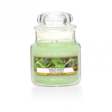 Kleine Wild Mint Yankee Kerze