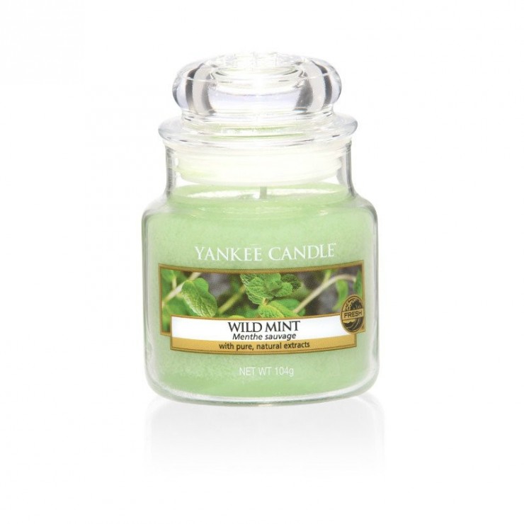 Kleine Wild Mint Yankee Kerze
