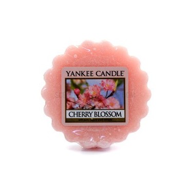 Kirschblütenwachs von Yankee Candle