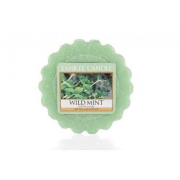 Wild Mint Wachs von Yankee Candle
