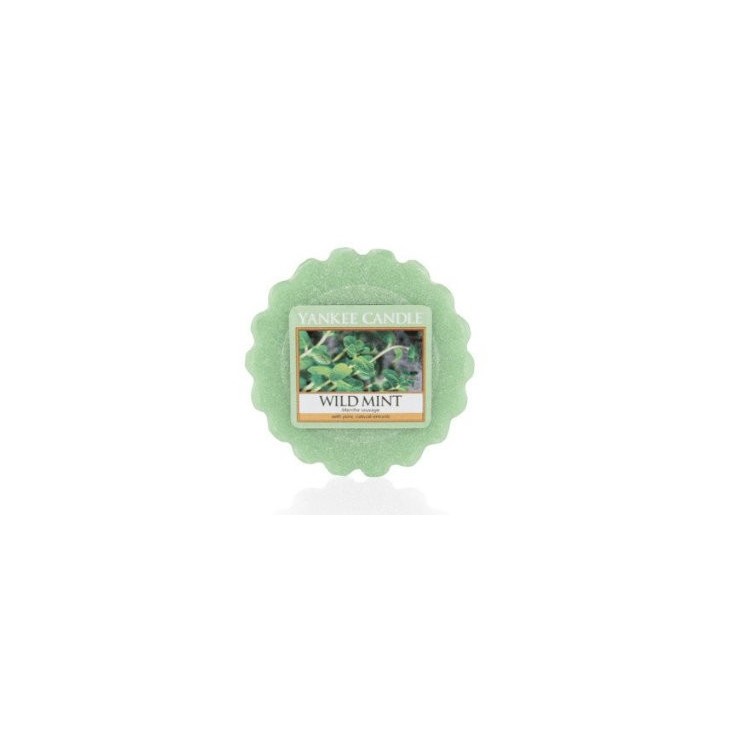 Wild Mint Wachs von Yankee Candle