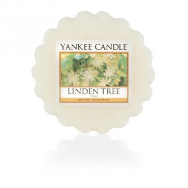 Lindenbaumwachs von Yankee Candle
