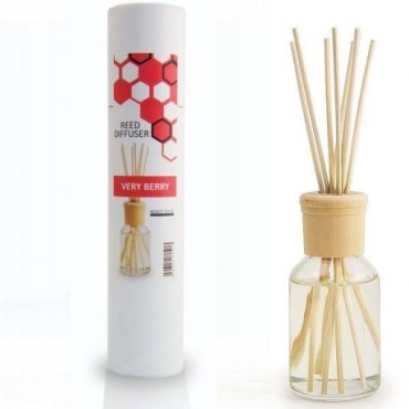 Klassischer 100ml Aromadiffusor - FOREST FruITS
