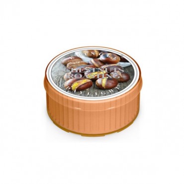 Daylight Chestnuts Roasting Kerze von Kringle Candle