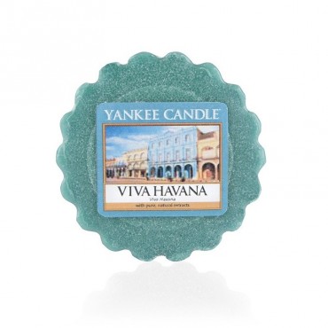 Viva Havanna-Wachs von Yankee Candle