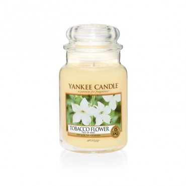 Große Tabakblütenkerze von Yankee Candle