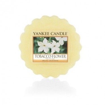 Yankee Candle Tabakblütenwachs