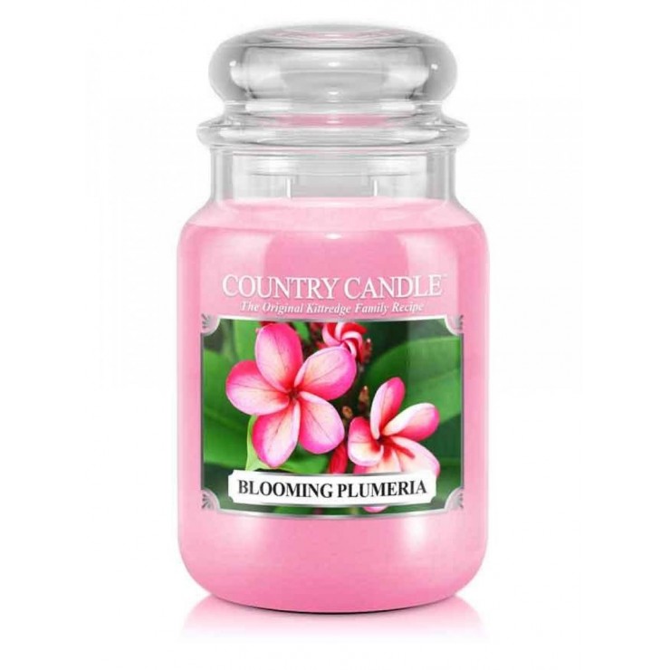 Große Land Kerze Blooming Plumeria Kerze