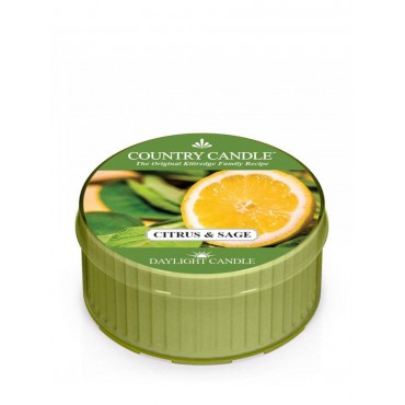 Tageslichtkerze Citrus und Salbei Country Kerze
