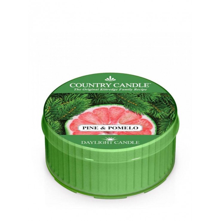 Tageslichtkerze Pine & Pomelo Country Kerze