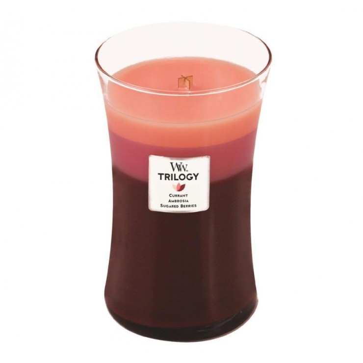 Fruit Temptation WoodWick Große Kerze