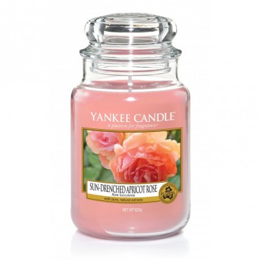 Große sonnenverwöhnte Yankee Kerze Apricot Rose