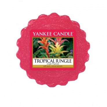 Yankee Kerze Tropischer Dschungel Wachs