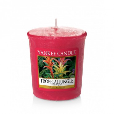 Tropischer Dschungel Yankee Kerze Sampler