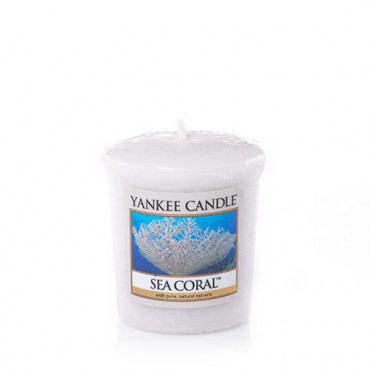 Meer Koralle Yankee Kerze Sampler