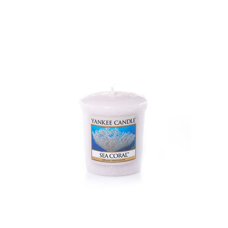 Meer Koralle Yankee Kerze Sampler