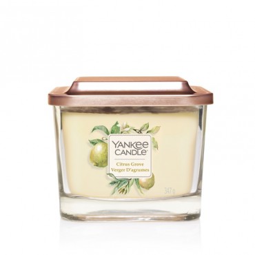 Elevation medium Citrus Grove Kerze von Yankee Candle.
