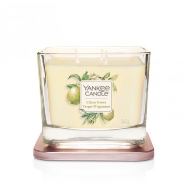 Elevation medium Citrus Grove Kerze von Yankee Candle.