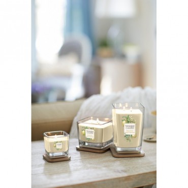 Elevation medium Citrus Grove Kerze von Yankee Candle.