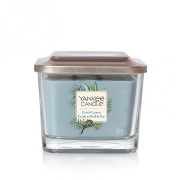 Elevation mittlere Kerze Coastal Cypress Yankee Candle