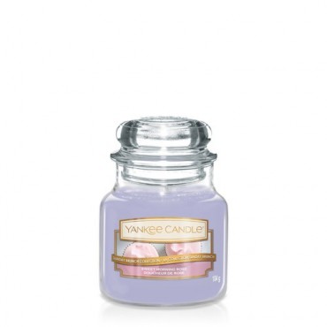 Sweet Morning Rose kleine Kerze von Yankee Candle