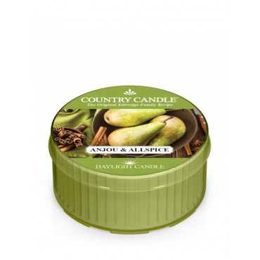 Daylight Kerze von Anjou & Allspice Country Candle