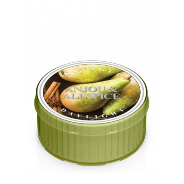 Daylight Anjou & Allspice Kerze von Kringle Candle