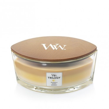 Hearthwick Trilogie Früchte des Sommers WoodWick Kerze