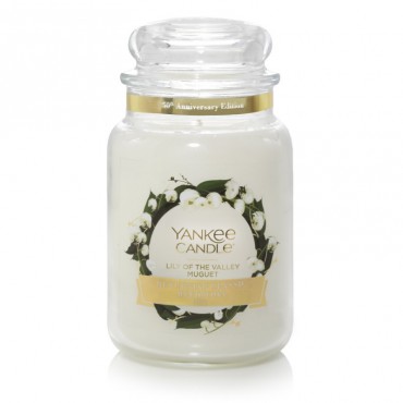 Lily of The Valley Yankee Candle große Kerze