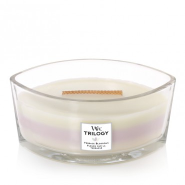 Hearthwick Trilogy Terrace Blossoms WoodWick Kerze