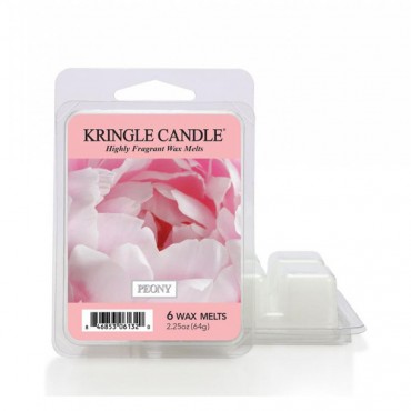 Pfingstrose Kringle Kerze Duft Wachs