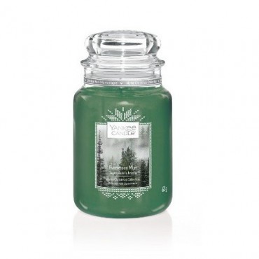 Große Evergreen Mist Kerze von Yankee Candle