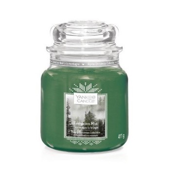 Medium Evergreen Mist Kerze von Yankee Candle