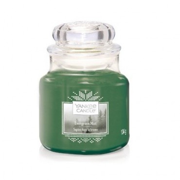 Kleine Evergreen Mist Kerze von Yankee Candle