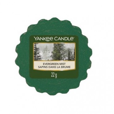 Yankee Kerze Evergreen Mist Wachs
