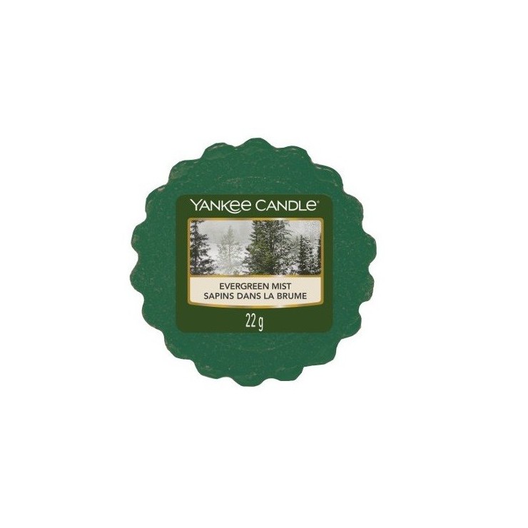 Yankee Kerze Evergreen Mist Wachs