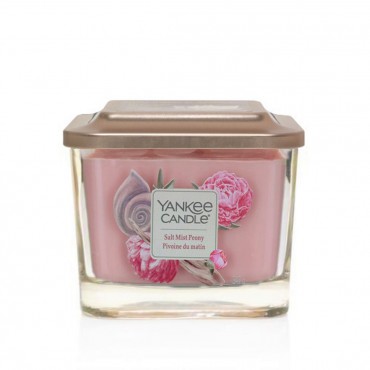Elevation mittel Salz Nebel Pfingstrose Kerze Yankee Candle