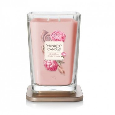 Elevation große Salz Nebel Pfingstrose Kerze Yankee Candle