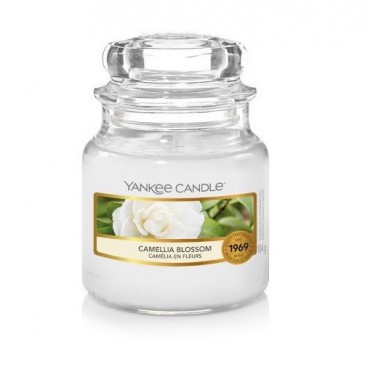 Kleine Kamelienblütenkerze Yankee Candle