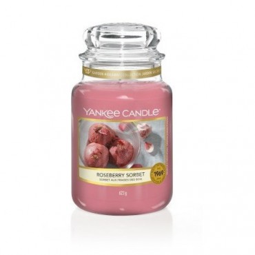 Große Roseberry Sorbet Kerze von Yankee Candle