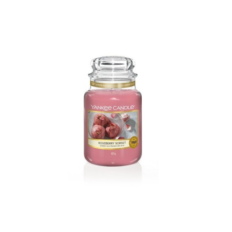 Große Roseberry Sorbet Kerze von Yankee Candle
