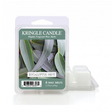 Eukalyptus Minze Kringle Kerze Duftwachs