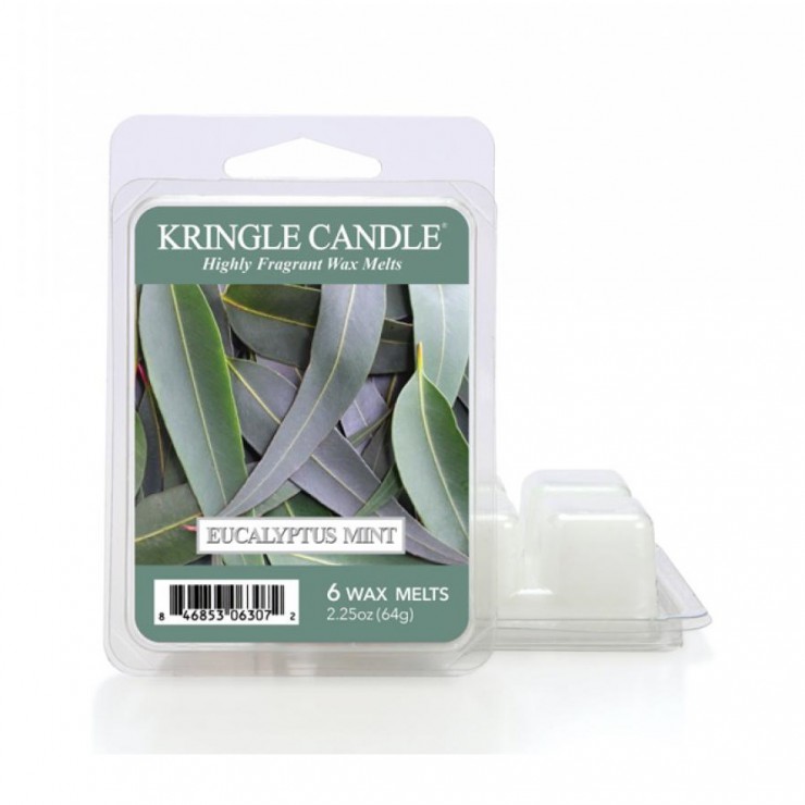 Eukalyptus Minze Kringle Kerze Duftwachs