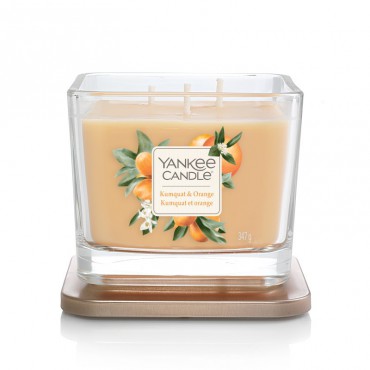 Elevation medium Kumquat & Orange Kerze von Yankee Candle