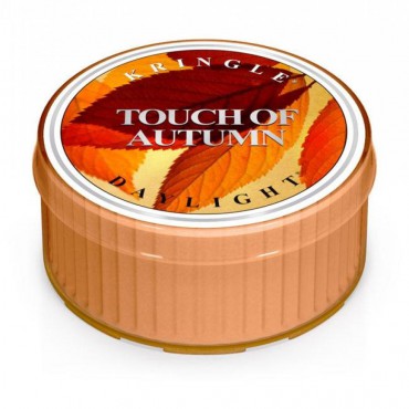Daylight Touch of Autumn Kerze von Kringle Candle