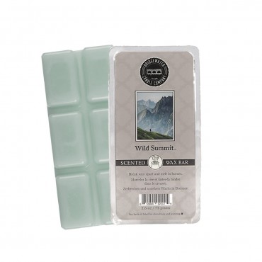 Wild Summit Duftwachs von Bridgewater Candle